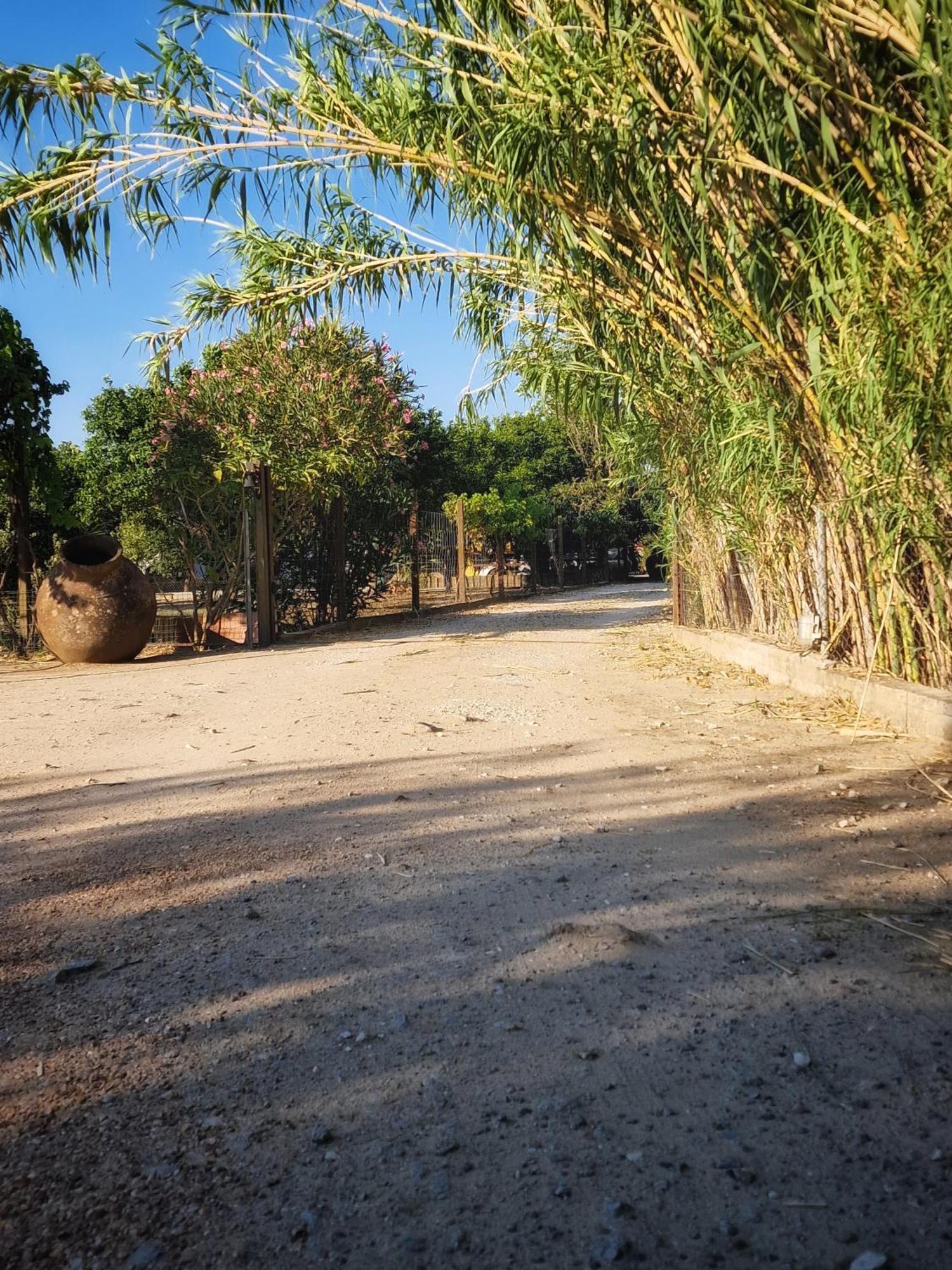 Quinta Da Ponte Das Hortas 1 Elvas Luaran gambar